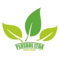 PLUSBOL